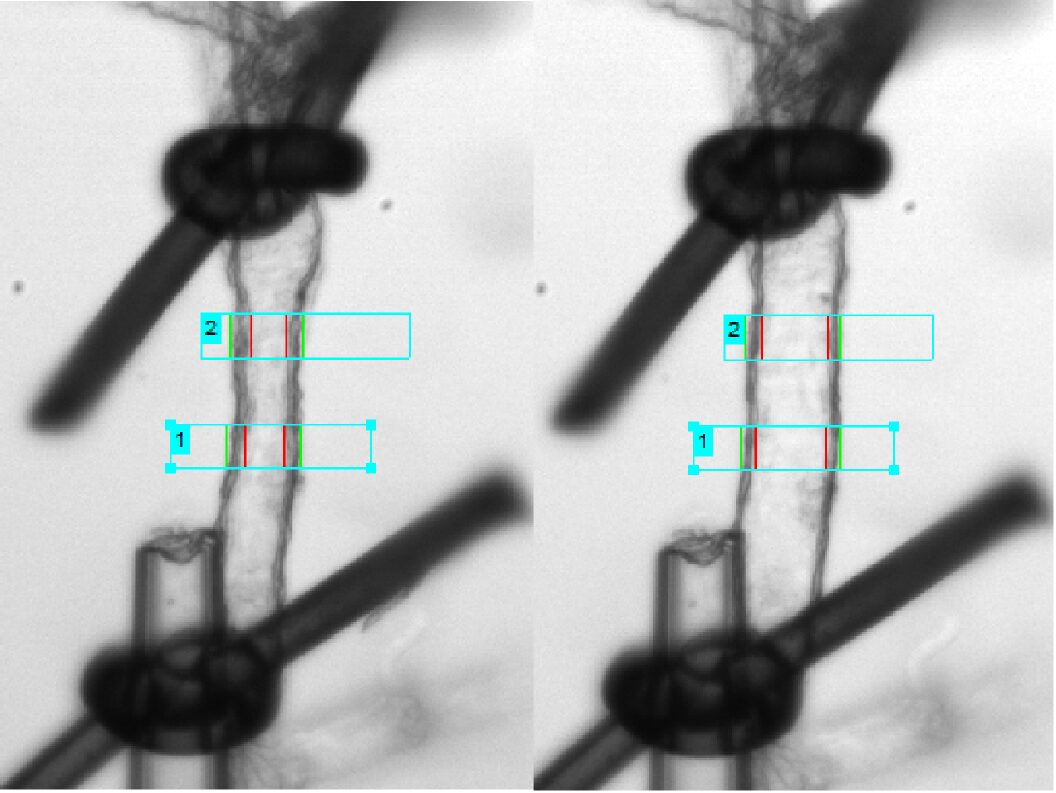 394e8a87-e11d-4b12-8fdc-e5062c825cea copy